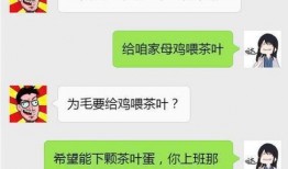 姐妹聊天对话谈娱乐吃瓜,揭秘娱乐圈最新“瓜”事